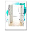 Miroir décoratif traditionnel peinture-40097086