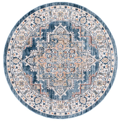Olympia Performance Oriental Rug