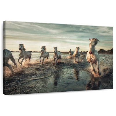 Brampt Camargue, chevaux qui courent dans l'eau VII