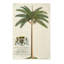 King Palm Print by Porter Design-26773054-26773061