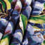 Tapisserie murale Fruit Beach-133644446