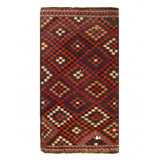 Xaivion Ikat Area Rug