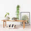 Faux Fern Plant in Kokedama Hanger