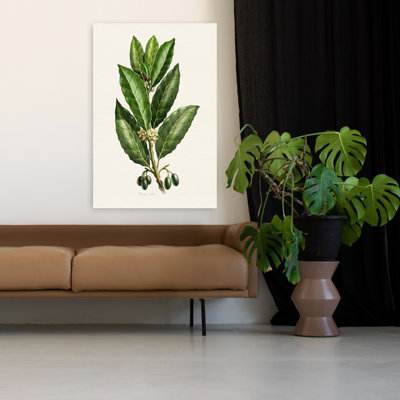 Art contemporain contemporain classique, plante fruitière