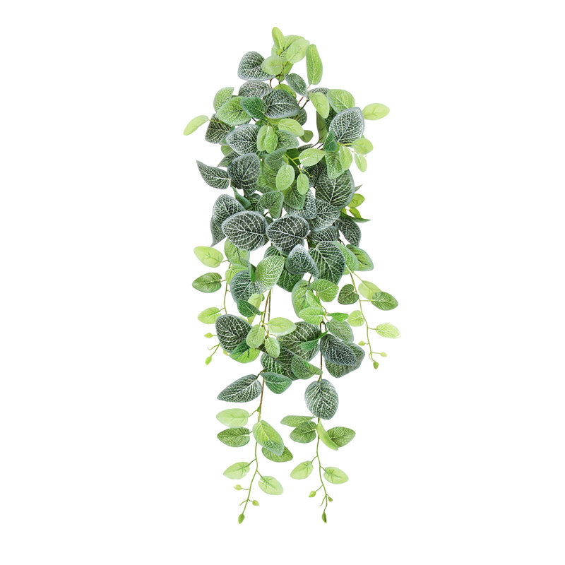 Plante artificielle suspendue lierre Fittonia, H 32 po x l 12 po x P 6 po