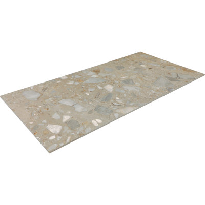 Daltile Sand and Stone 24 x 48 Floor Tile (2 PC Per Carton) (15.54 SQFT Per Carton)