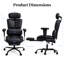 Inbox Zero Office Chair-180483139