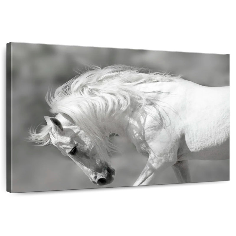 Brampt Majestic White Stallion, 24" H x 36" W