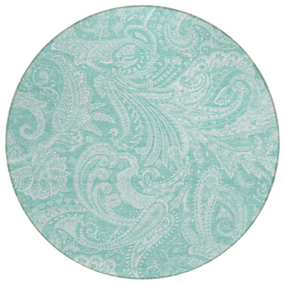 Cresley Paisley Indoor / Outdoor Rug