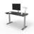 Skyscraper Electric Height Adjustable Standing Desk, Dual Motor and Digital Control with Memory, 48x24, Charcoal Strand Top with Brushed Silver Frame-1076506101-1191903525