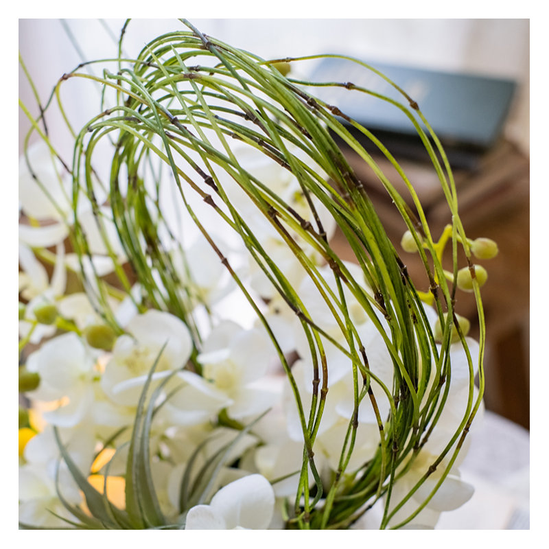 Ikebana en vigne fine en pot, 1, Vert
