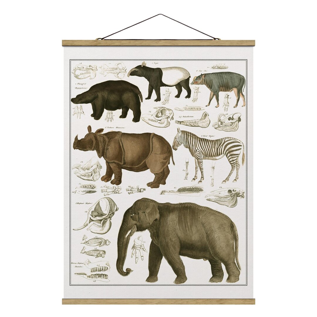 Stoffbild Vintage Lerntafel Elefant, Zebra und Nashorn