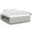 Latitude Run® Bed Frame Without Mattress  Velvet-800337733-797962990