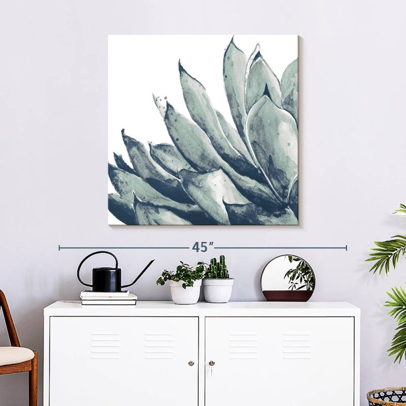 Agave bleu Harnek sur fond blanc I, H 30 po x l 30 po