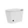 Ethan Smart Toilet with Foot Sensing, Remote Control