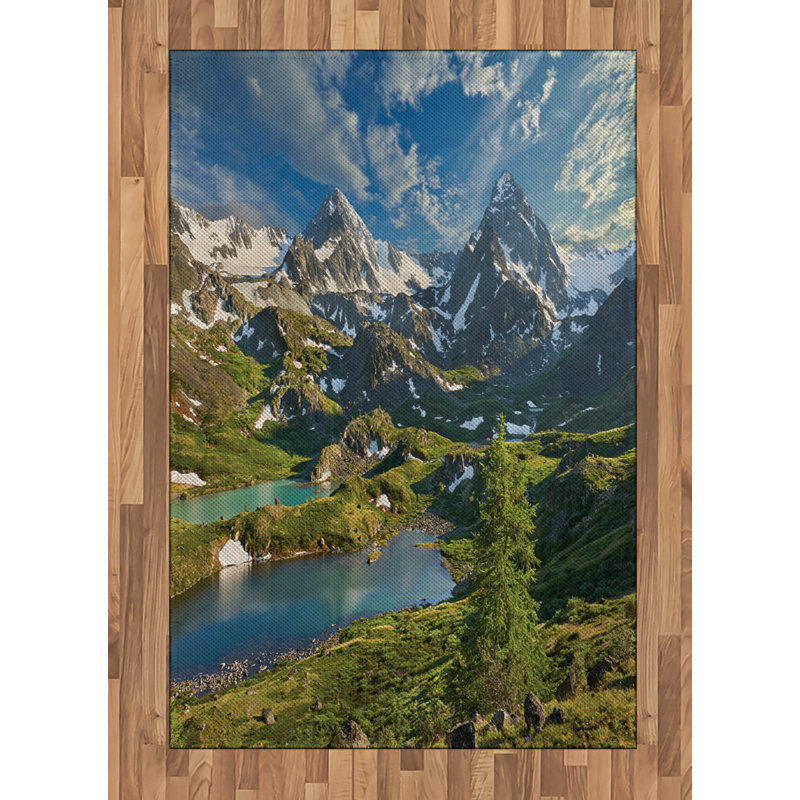 Mountain Nature High Density Long Fiber Poly Threads Decorative Area Rug Carpet, Rectangle 4' x 5'8"