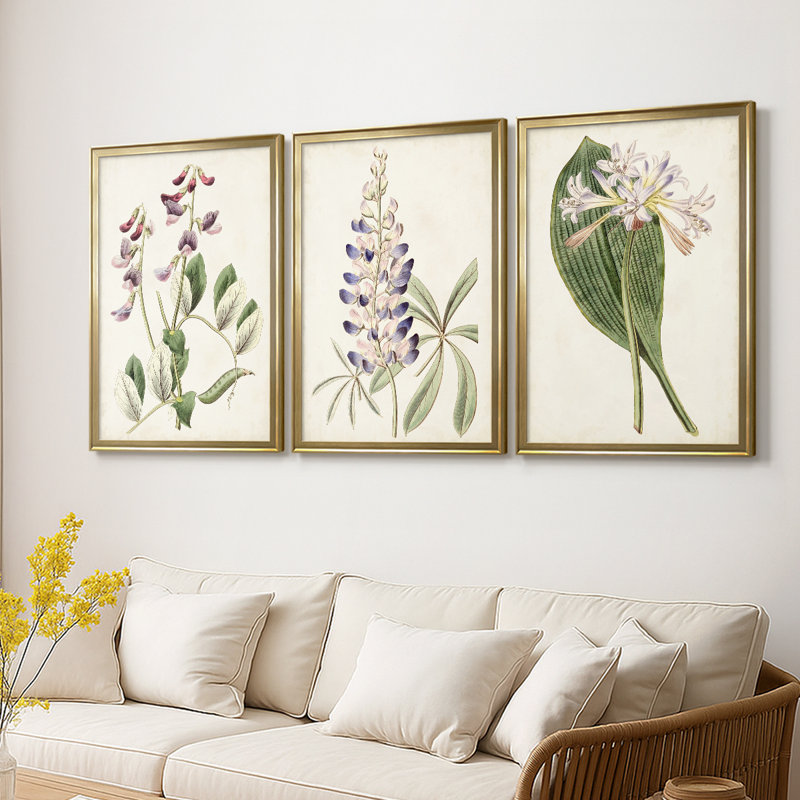 Antique Botanical Collection I - Toile tendue avec châssis sur mesure - 3 pièces, H 21 po x l 30 po, Doré