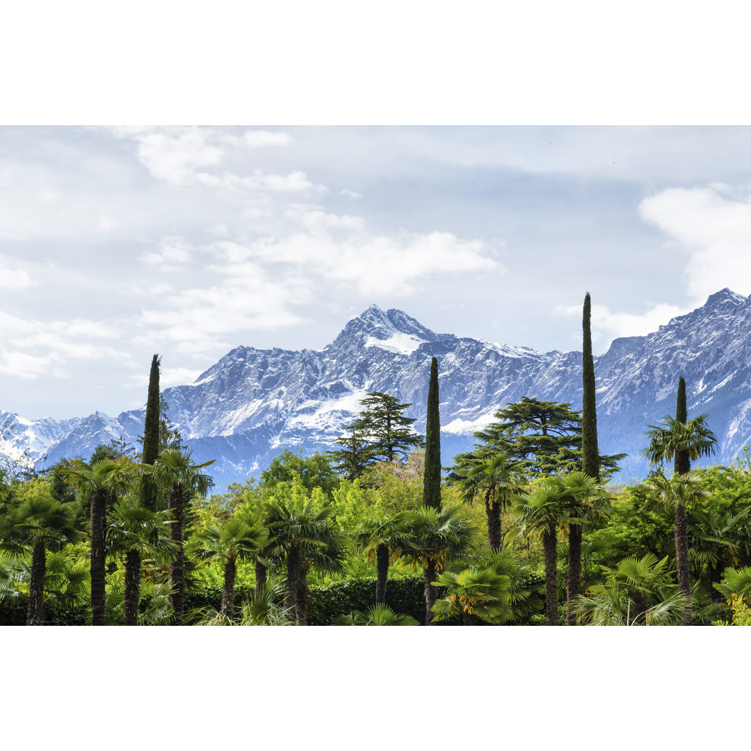 Botanischer Garten und Alpen von PJ - Leinwandbild