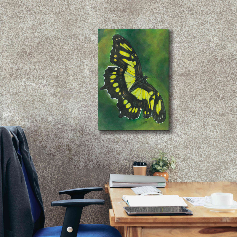 «Kearea Malachite Butterfly On Canvas» par Barbara Keith, reproduction, H 26 po x l 18 po x P 0,75 po
