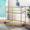 Anne 22" W Glass and Metal End Table with Shelves
