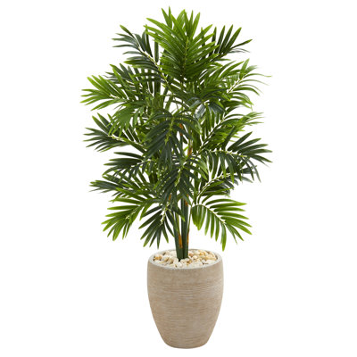 Palm Tree in Planter