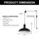 Aparajita 16.4 FT. Cord 1 - Light Plug In Pendant Light With On/Off Dimmer Switch