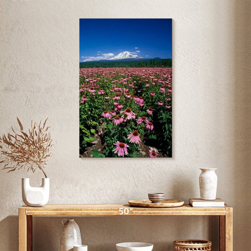 Harnek Echinacea Field, 36" H x 24" W