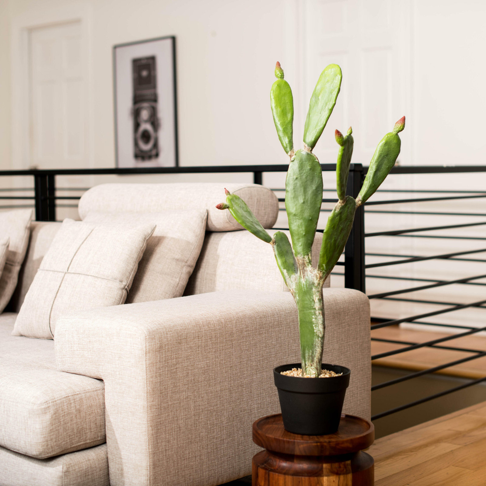 Cactus Plant in Pot, 34" H x 6" W x 12" D