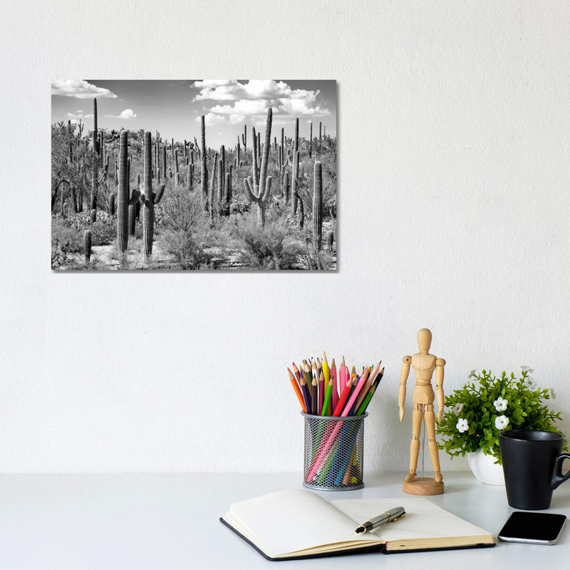 Arizona Series - Saguaro Cactus Forest by Philippe Hugonnard - Wrapped Canvas Print, 20.32 cm H x 30.48 cm W