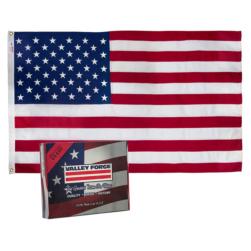 Valley Forge 3 ft x 5 ft Multicolored Polyester American Flag