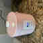 Customer photo 2 of 2