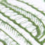 Coussin décoratif en coton