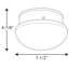 Fitter Glass LED Flush Mount