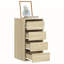 Staika Rectangle Accent Chest-1909907780-1909907779
