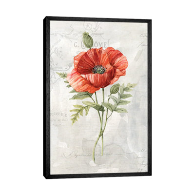 Linen Poppy by Carol Robinson - Print on Canvas