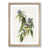 Oak Framed selected