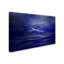 « flight of the fairs », reproduction d’impression sur toile tendue-23537285