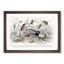 Assortment Of Beetles PL. 71 by Oliver Goldsmith - Single Picture Frame Painting-57844386-57844387