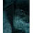 Huckstep One-of-a-Kind 3' 3" X 5' 2" Wool Area Rug Green