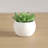 3'' Faux Succulent Plant in Ceramic Pot