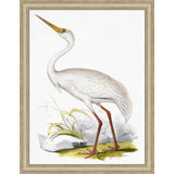 Coastal Ornithology 4' Framed Graphic Art Print on Glass