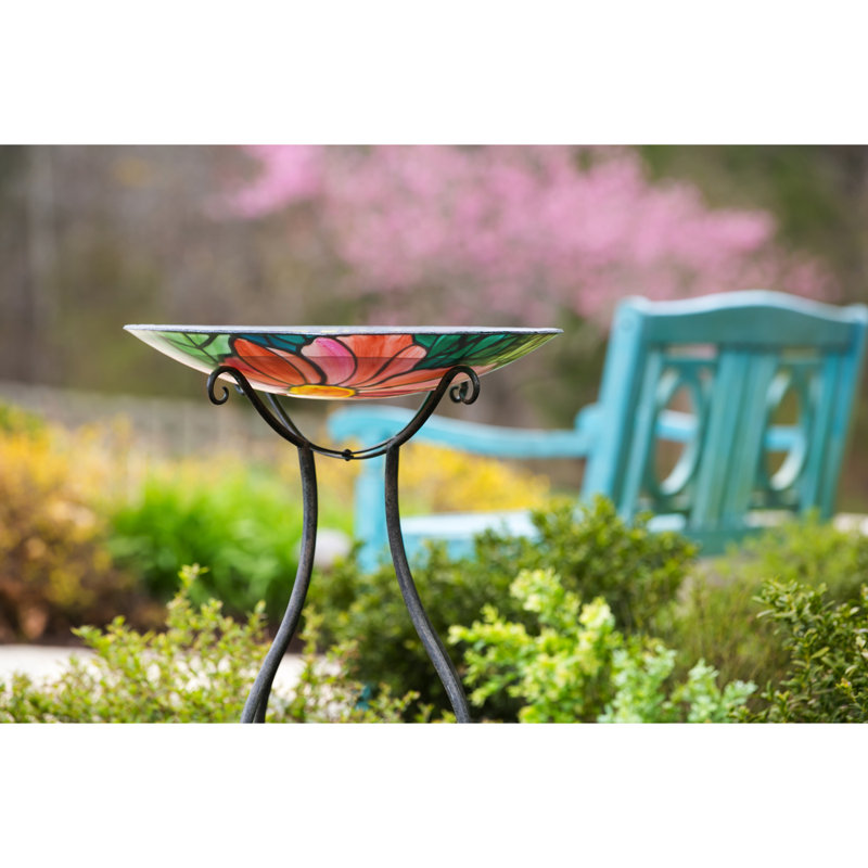 Glass Single Tier Birdbath
