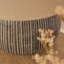 Ceramic Lamp-273350896-273350911
