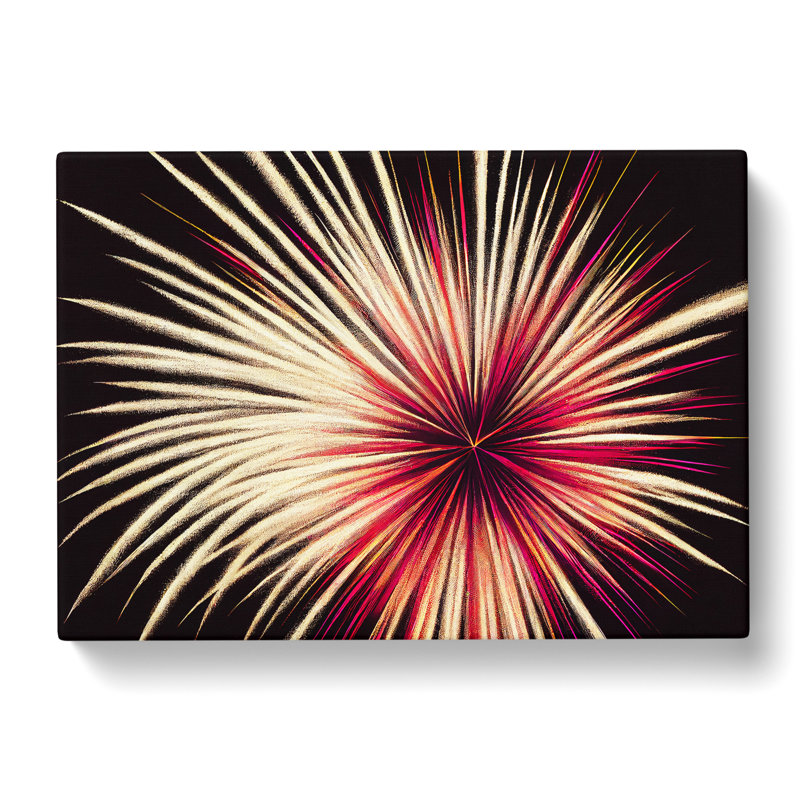 Gorgeous Fireworks - Wrapped Canvas, 35cm H x 50cm W x 3cm D