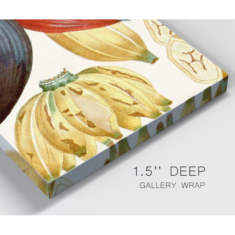 Reproduction d’art sur toile tendue « Turpin tropical fruit VII », H 20 po x l 16 po x P 1 po