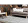 Frodsham Chevron Silver Mist Area Rug