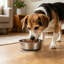 Pet Bowl