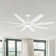 Fianna 72'' Ceiling Fan with LED Lights