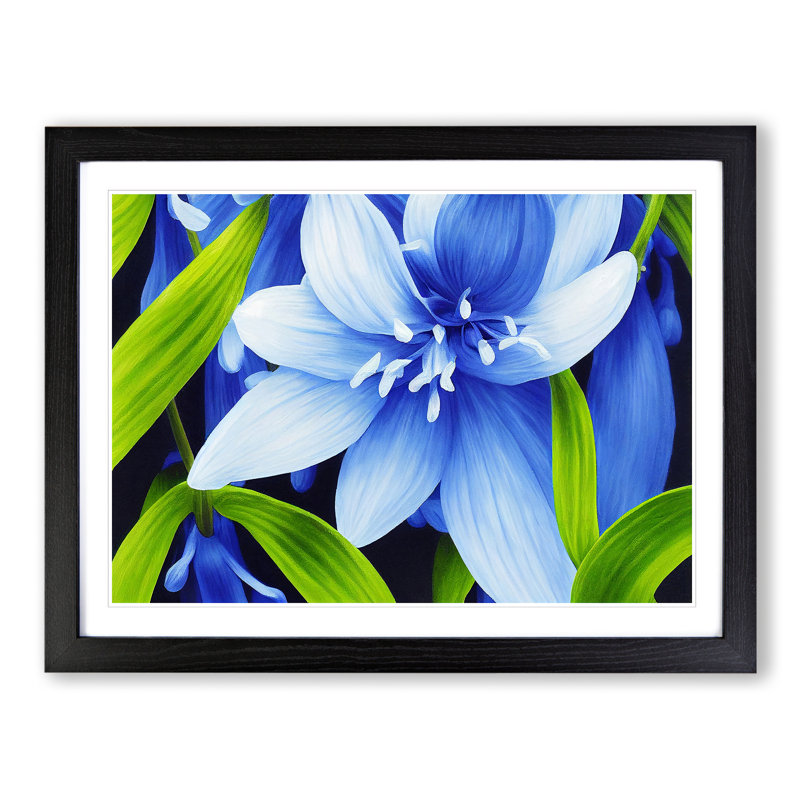 Decorated Flower - Single Picture Frame Print, Black, 46cm H x 64cm W x 2cm D