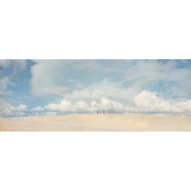 Go Fly A Kite Print by Werder, Lillis, White Single Picture Framed, 22'' H x 51'' W